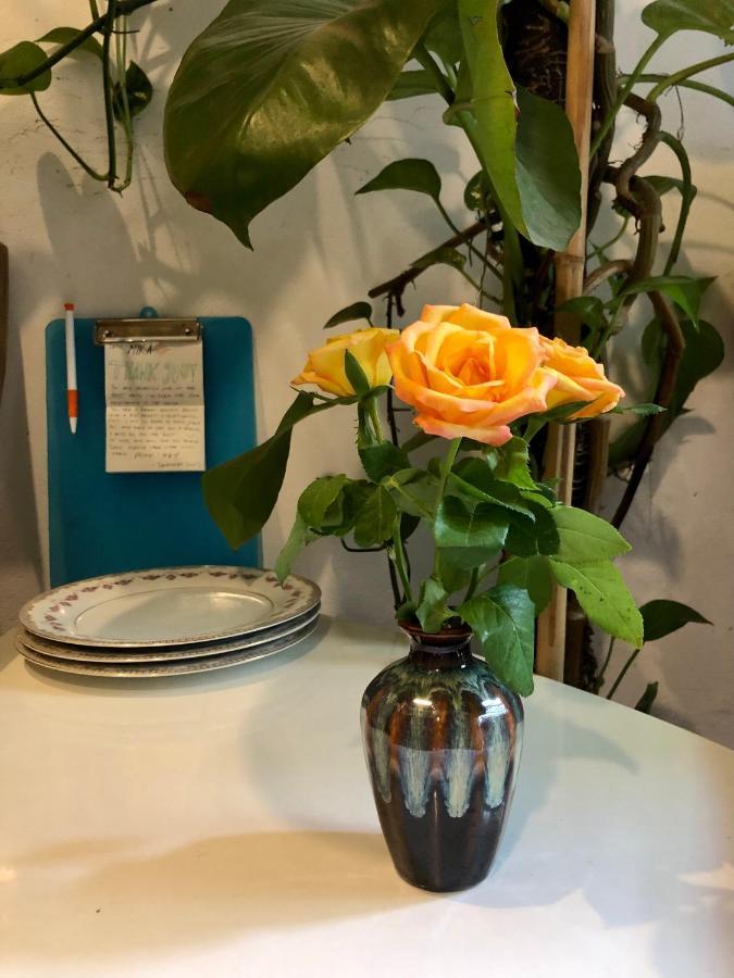 Simple & Cozy Hanoi Homestay エクステリア 写真